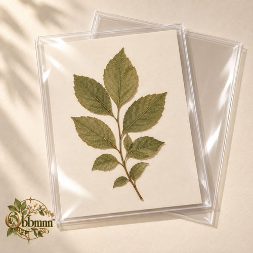 Qbbmnn Archival Botanical Sleeves image 2