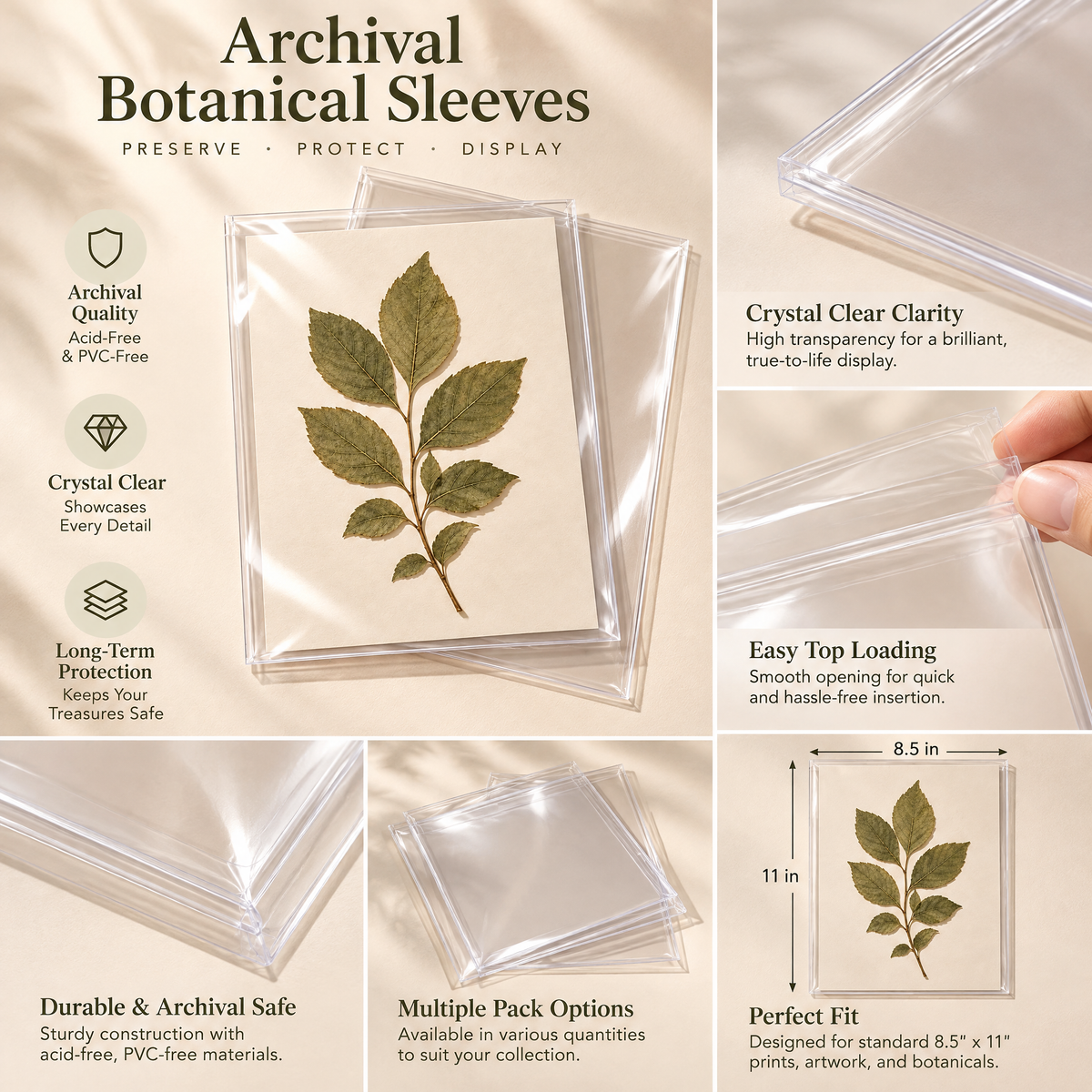 Qbbmnn Archival Botanical Sleeves image 4